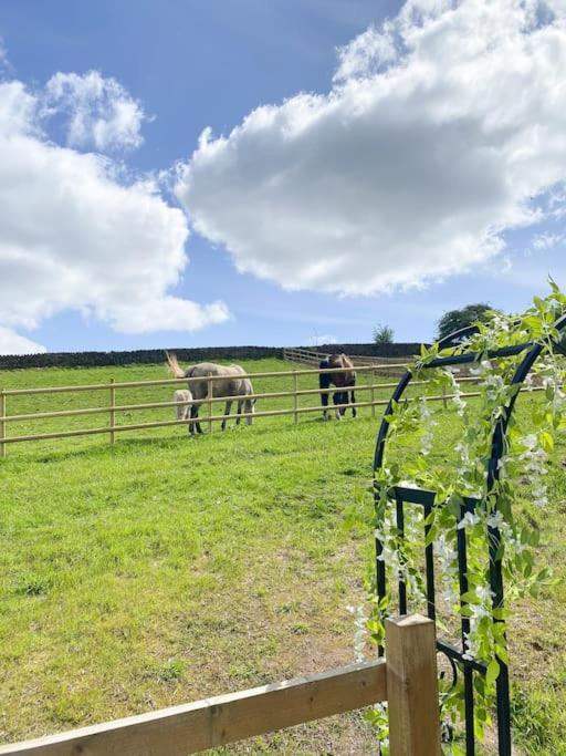 Luxury Detached Peak District Stone Barn - Dog Friendly Villa Hazelwood Exterior foto